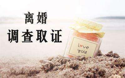 侦诚私家侦探社